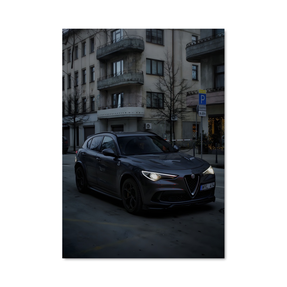 Poster Stelvio Noir